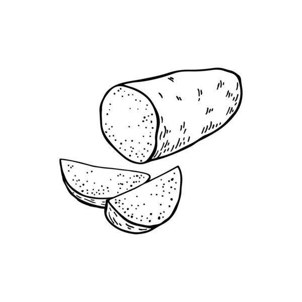 Клубни Сладкого Картофеля Целый Картофель Разрезать Пополам Векторная Иллюстрация — стоковый вектор