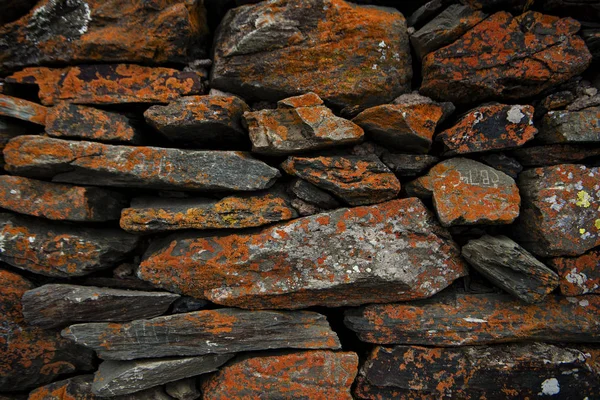 kahverengi taş doku kaya