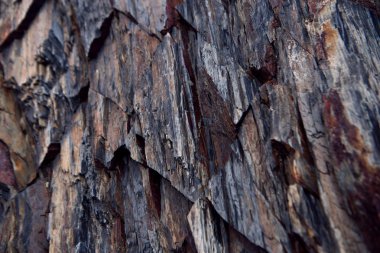 duvar kağıdı dekoratif doku kaya