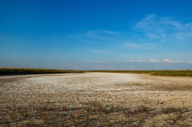 Tuzlu göller Ukrayna Dzharylgach