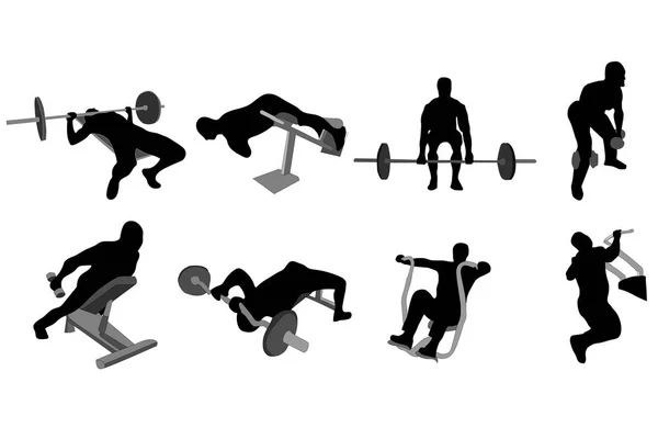 Silhouettes Personnes Dans Salle Gym Sur Différents Simulateurs — Image vectorielle