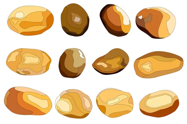 farklı şekil ve büyüklükte patates 12 resim kümesi