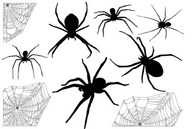 örümcekler ve onların ağları Cadılar Bayramı için ayarla