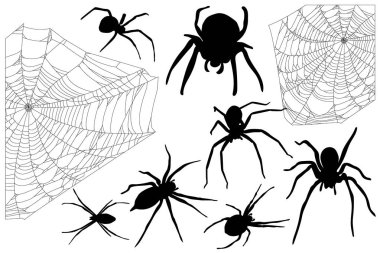 örümcekler ve onların ağları Cadılar Bayramı için ayarla