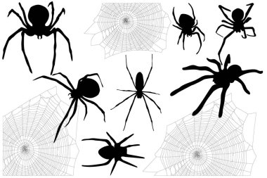 örümcekler ve onların ağları Cadılar Bayramı için ayarla