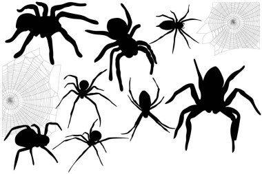 örümcekler ve onların ağları Cadılar Bayramı için ayarla