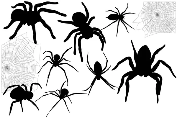 Set Halloween Spiders Webs — Stock Vector