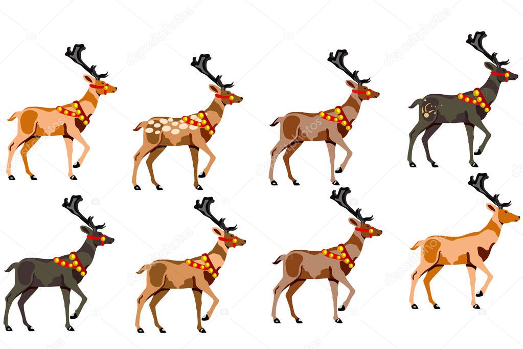 A set of eight deer of different colors. vector on white background