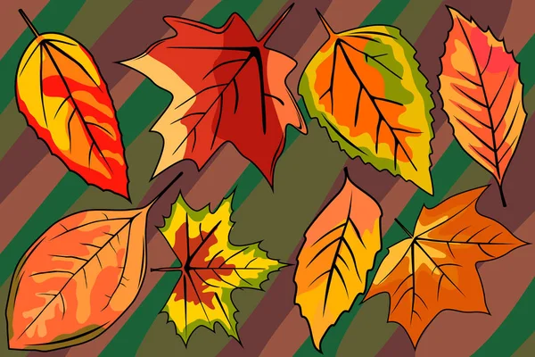 Conjunto e fundo no estilo de folhas de outono. Folhas amarelas e vermelhas. Imagem de outono elegante de folhas . — Vetor de Stock