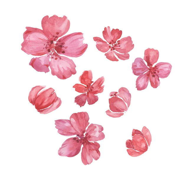 Sakura Flores Sobre Fondo Blanco Dibujo Acuarela Para Postales Textiles — Foto de Stock
