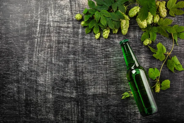 Une Bouteille Bière Avec Bouquet Houblon Vert Frais Sur Tableau — Photo