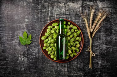 Bir şişe bira bir plaka ile spikelets ve hop yaprak buğday bir siyah çizik tebeşir tahtası arka planı yeşil bir hop. Üstten görünüm.