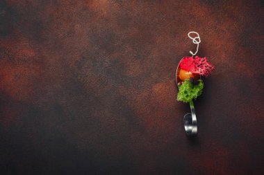 Moleküler modern mutfağı galantine kaşık paslı arka plan üzerinde ördek. Üstten görünüm.