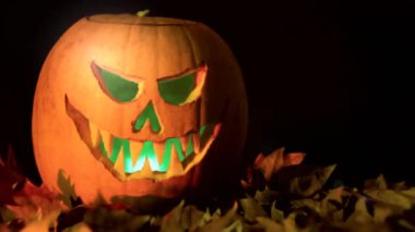 Ürkütücü Jack Olantern balkabağı kuru yapraklı. İçindeki ışığın rengini değiştiriyor. Siyah arkaplan ve kopyalama alanı