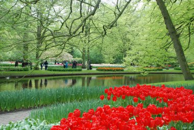 Hollanda'da Keukenhof lale ve peyzaj tasarım parkı, Mayıs