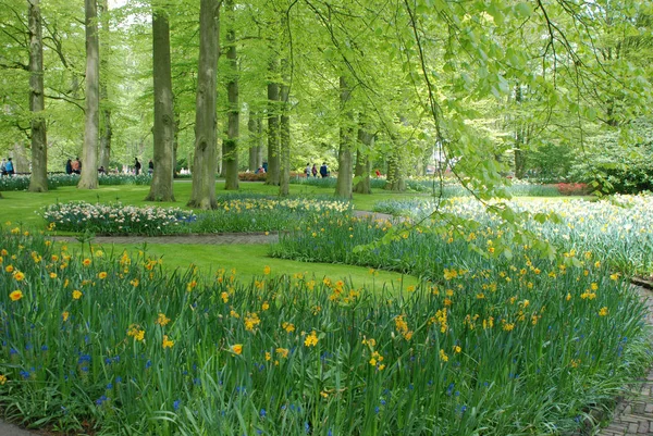 Keukenhof Tulip Landschaps Design Park Holland Mei — Stockfoto