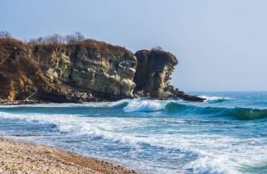 Bay Vladivostok içinde 