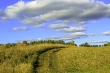 Buğday pitoresk bir alan ve yol gökyüzüne doğru gidiyor