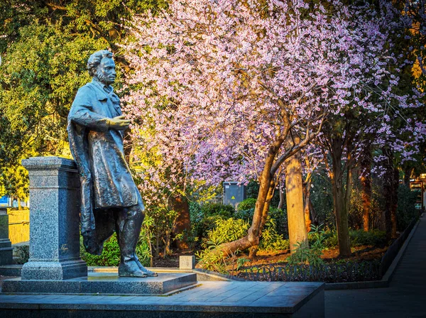 Parlak kiraz ağaçları Yalta Puşkin sokakta ilkbaharda açtı. Büyük bir şairin önünde dallarını eğdi