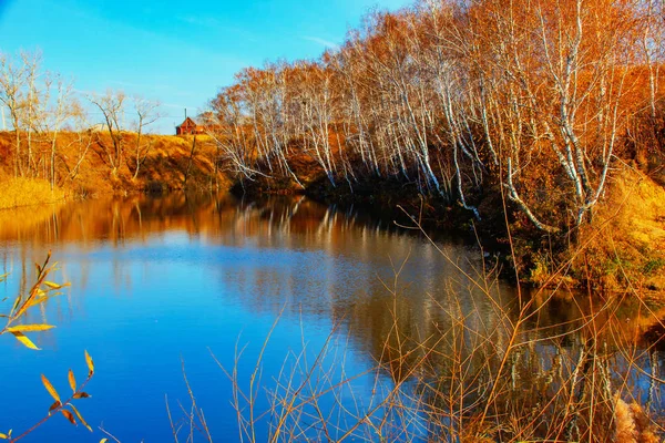 Vodě Odráží Jasné Podzimní Vybavení Stromů Jezera Modrou Vodou Pod — Stock fotografie