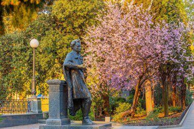 Pembe, narin, bahar Magnolia çiçekleri tarafsız bir arkaplanda