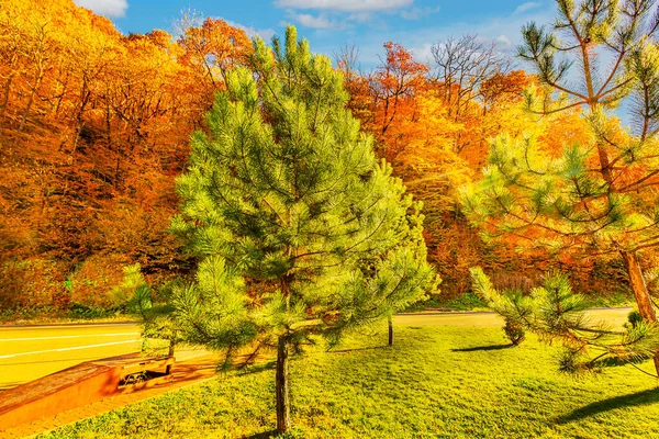 Hermosas Nubes Sol Deslumbrante Colores Brillantes Árboles Otoñales Sobre Complejo —  Fotos de Stock