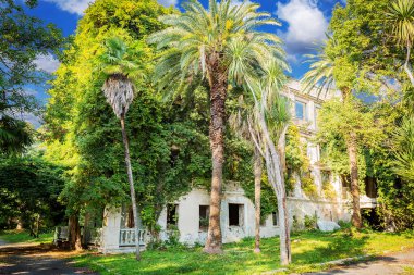 Lianalar binayı yutuyor. Ahtapotun duvarlara dolanması gibi. Abhazya, Yeni Athos birçok cazibesi olan eski ve güzel bir şehirdir: siyah kuğularla dolu bir gölet, eski bir manastır, bir şelale ve lianalar. .