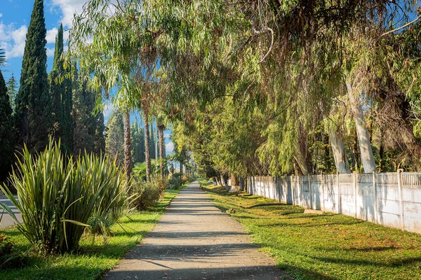 Abjasia Nueva Athos Una Antigua Hermosa Ciudad Siempreverde Con Montón — Foto de Stock