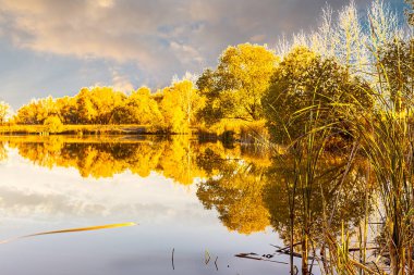 Ağaçların çerçevelediği gölün sessiz ayna suyuna güzel bulutlar yansıyor.