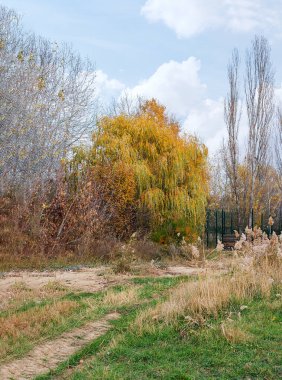 Sonbahar giderek daha da güzelleşiyor. Etraflarına parlak sarı yapraklar saçar, parlak sonbahar kıyafetleriyle ağaçları boyarlardı. Sigara ve temizlik, temiz parklar.