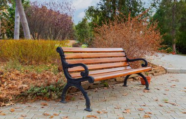 Güzel, parlak benç kırmızı ve sarı parlak ağaçların arka planında, sonbahar mavi gökyüzü ve hala beyaz bulutlar ,