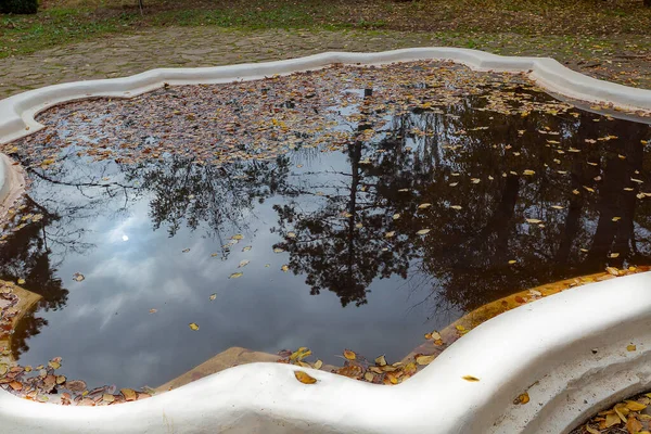 Yansıyan bulutlar ve mavi gökyüzü ile gölet, durgun beyaz bulutlarla sonbahar mavi gökyüzüne bakıyor ,