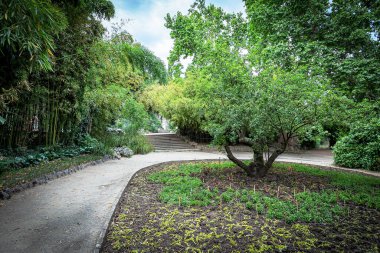 Kırım 'daki Nikitsky Botanik Bahçesi dünyanın her yerinden yüzlerce ağaç ve çalıyı barındıran eşsiz bir doğa koruma alanıdır. Zambaklar, eğrelti otları, sedir ağaçları, selvi ağaçları. Şu anda Nikitsky bahçesi 40 hektardan fazla bir alanı kaplıyor.