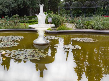 Kırım 'daki Nikitsky Botanik Bahçesi dünyanın her yerinden yüzlerce ağaç ve çalıyı barındıran eşsiz bir doğa koruma alanıdır. Zambaklar, eğrelti otları, sedir ağaçları, selvi ağaçları. Şu anda Nikitsky bahçesi 40 hektardan fazla bir alanı kaplıyor.