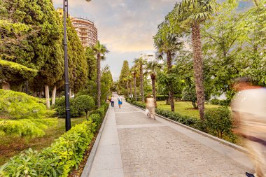 Sahil Parkı Yalta 'nın ilgi odağı ve Karadeniz kıyısındaki en güzel parklardan biridir. Yalta 'da yaşayan Anton Chekhov anıtı var. Güzel çeşmeler, merdivenler, egzotik ağaçlar.