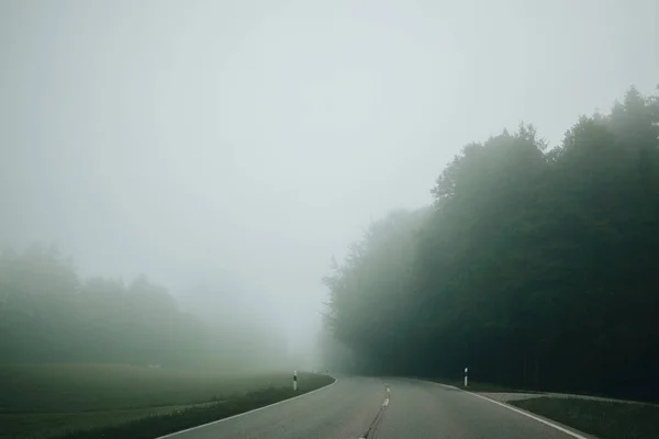 Route Asphaltée Vide Entourée Arbres Été Matin Brumeux — Photo