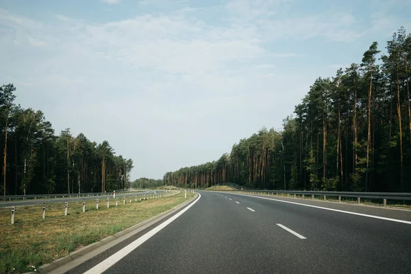 Empty Asphalt Road Green Pine Forest Side Sunny Summer Day — Stock Photo, Image
