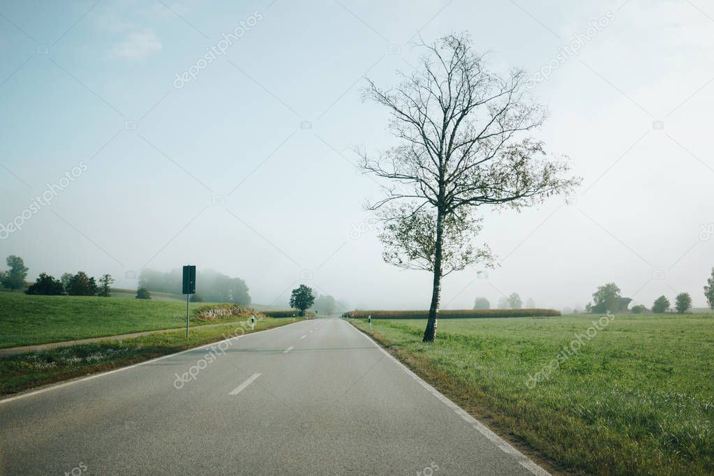 Empty asphalt road and lonely tree in countryside in the morning