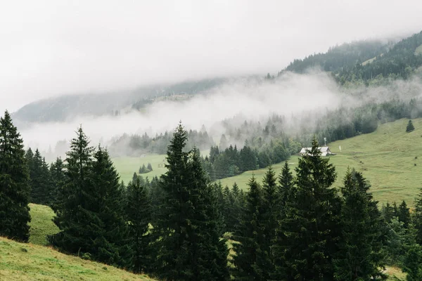 Neblige Landschaft Mit Haus Auf Dem Hügel Tannenwald Und Bergen — Stockfoto