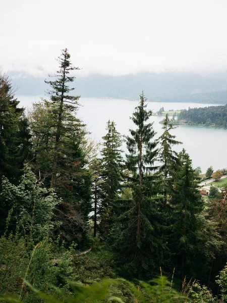 Visa Från Backen Sjön Walchensee Den Djupaste Och Största Alpina — Stockfoto