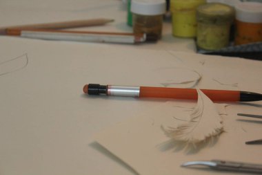 kağıt kağıt plastik kesme eksizyon tüy