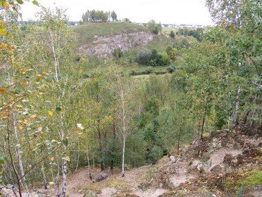 Ağaçlar, küçük nehir, yaz yatay