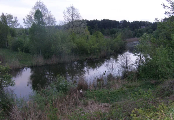 Ağaçlar, küçük nehir, yaz yatay