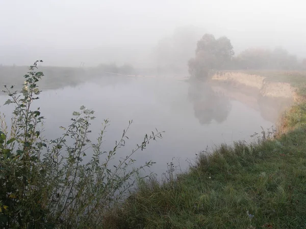 Dimmig Sommarmorgon Vid Floden — Stockfoto