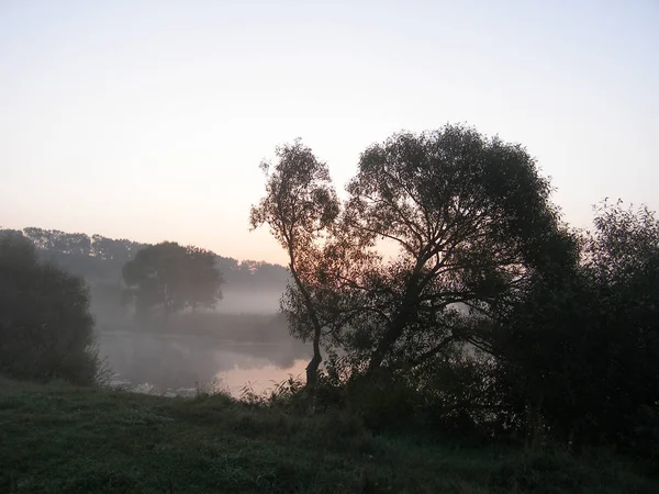 Foggy Manhã Verão Rio — Fotografia de Stock