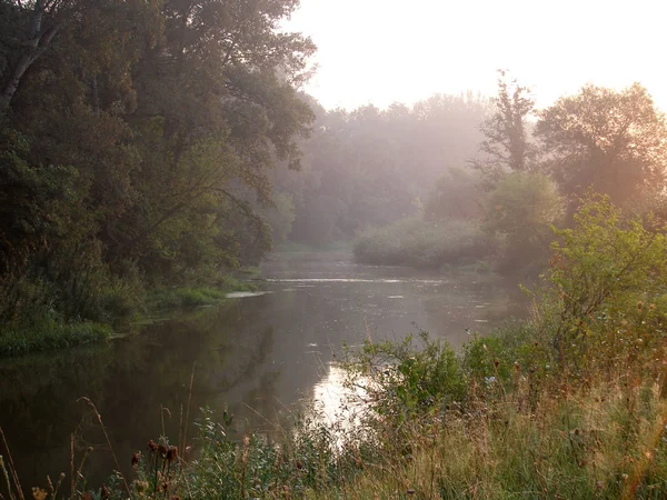  Sisli yaz sabahı Nehri üzerinde 