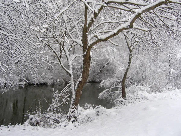 Hermoso Paisaje Invierno Con Pequeño Río Árboles — Foto de Stock