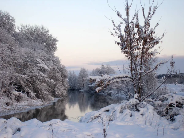 Bela Paisagem Inverno Com Pequeno Rio Árvores — Fotografia de Stock