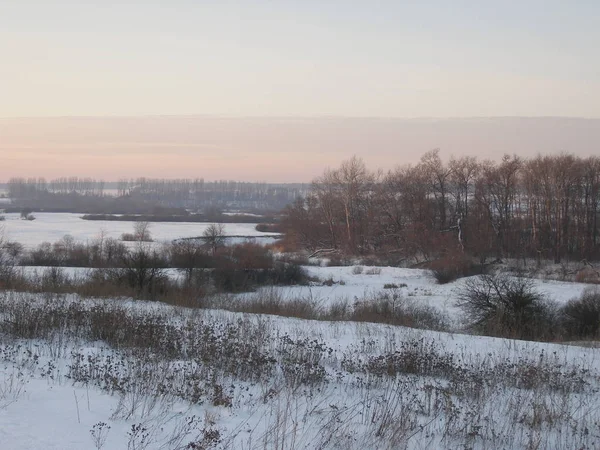 Schneebedeckt Winterlandschaft Mit Bäumen Schnee — Stockfoto