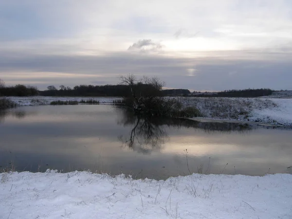 Schneebedeckt Winterlandschaft Mit Bäumen Schnee — Stockfoto